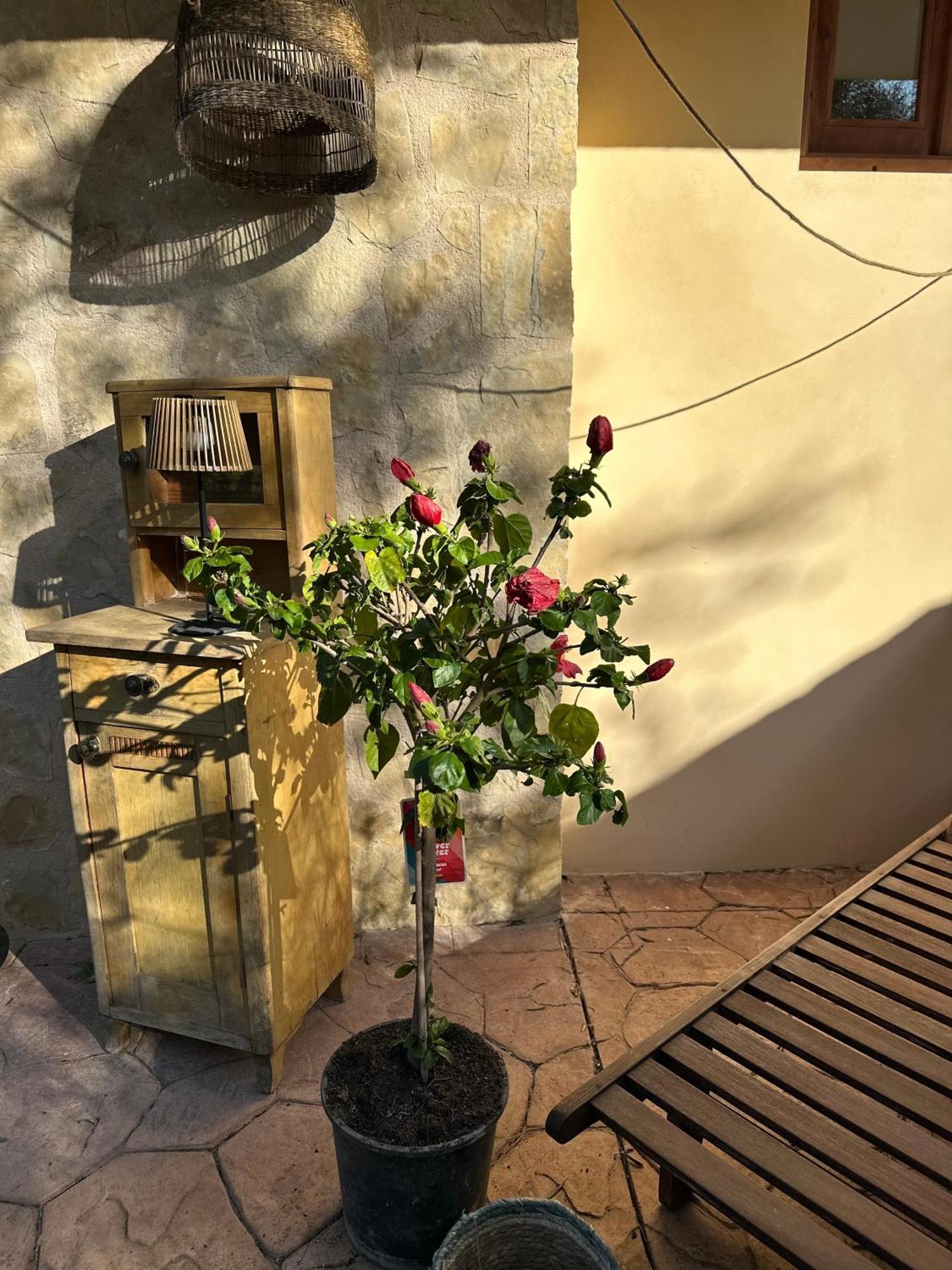 Apartamento Casita Balear